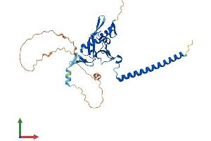 Protein Structure (PS) image for Ras Association (RalGDS/AF-6) Domain Family Member 2 (RASSF2) (AA 1-326) protein (His tag) (ABIN7551210)