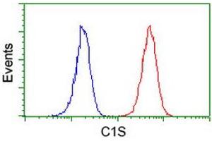 Image no. 6 for anti-Complement Component 1, S Subcomponent (C1S) antibody (ABIN1497565) (C1S 抗体)