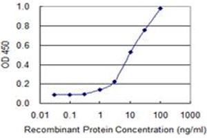 Detection limit for recombinant GST tagged HOXD4 is 0. (HOXD4 抗体  (AA 1-62))