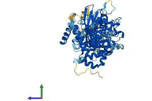 AlphaFold protein structure predicition of Human Recombinant PTPN9 Protein, UniprotID P43378