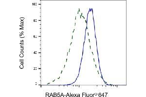 Validation of RAB5A knockdown using flow cytometry.