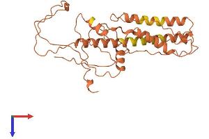 Family with Sequence Similarity 87, Member A (FAM87A) (AA 1-286) protein (His tag)