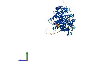 Protein Structure (PS) image for Asparagine-Linked Glycosylation 9, alpha-1,2-Mannosyltransferase (ALG9) (AA 1-611) protein (His tag) (ABIN7559860)