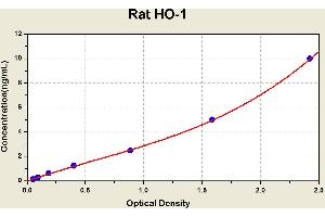 Diagramm of the ELISA kit to detect Rat HO-1with the optical density on the x-axis and the concentration on the y-axis. (HMOX1 ELISA 试剂盒)