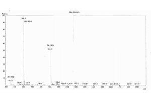 Image no. 1 for Prepronociceptin (PNOC) peptide (Ovalbumin) (ABIN5666361)