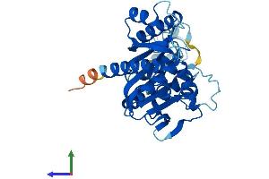 Protein Structure (PS) image for Nucleotide Binding Protein 1 (NUBP1) (AA 1-320) protein (His tag) (ABIN7556180)