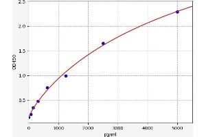 Typical standard curve (SMC4 ELISA 试剂盒)