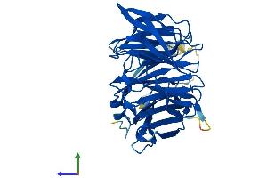 Protein Structure (PS) image for Actin Related Protein 2/3 Complex, Subunit 1A, 41kDa (ARPC1A) (AA 1-370) protein (His tag) (ABIN7556200)