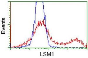 HEK293T cells transfected with either RC200288 overexpress plasmid (Red) or empty vector control plasmid (Blue) were immunostained by anti-LSM1 antibody (ABIN2454739), and then analyzed by flow cytometry. (LSM1 抗体  (AA 1-133))