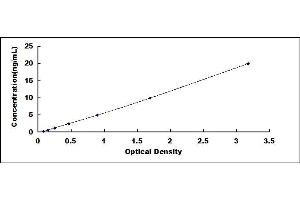 Typical standard curve (SNCAIP ELISA 试剂盒)