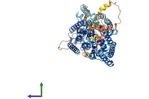 Protein Structure (PS) image for Solute Carrier Family 5 Member 3 (SLC5A3) (AA 1-718) protein (His tag) (ABIN7555393)