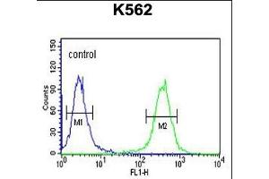 C3orf75 Antibody (C-term) (ABIN651356 and ABIN2840198) flow cytometric analysis of K562 cells (right histogram) compared to a negative control cell (left histogram). (ELP6 抗体  (C-Term))