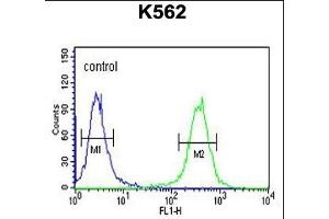 C3orf75 Antibody (C-term) (ABIN651356 and ABIN2840198) flow cytometric analysis of K562 cells (right histogram) compared to a negative control cell (left histogram).