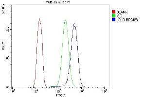 Flow Cytometry analysis of A431 cells using anti-LDLR antibody (ABIN7601438).