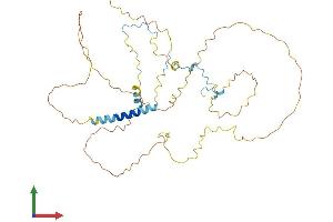 AlphaFold protein structure predicition of Human Recombinant HABP4 Protein, UniprotID Q5JVS0
