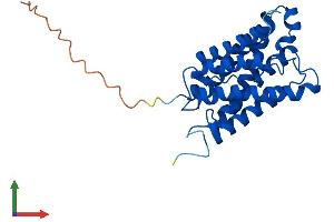 Protein Structure (PS) image for Aquaporin 8 (AQP8) (AA 1-261) protein (His tag) (ABIN7552228)