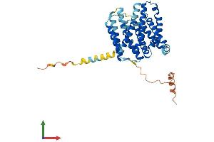 Protein Structure (PS) image for Solute Carrier Family 35, Member F2 (SLC35F2) (AA 1-374) protein (His tag) (ABIN7551625)