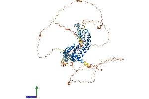 Protein Structure (PS) image for Leucine-Rich Repeats and Calponin Homology (CH) Domain Containing 1 (LRCH1) (AA 1-728) protein (His tag) (ABIN7549112)