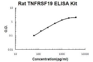 Rat TNFRSF19/TROY PicoKine ELISA Kit standard curve (TNFRSF19 ELISA 试剂盒)