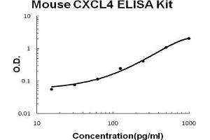 Mouse CXCL4/PF4 PicoKine ELISA Kit standard curve (PF4 ELISA 试剂盒)