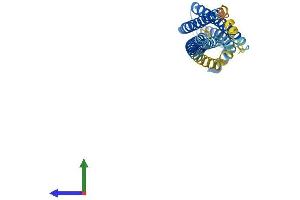 Protein Structure (PS) image for Syntaxin 1A (Brain) (STX1A) (AA 1-288) protein (His tag) (ABIN7562333)