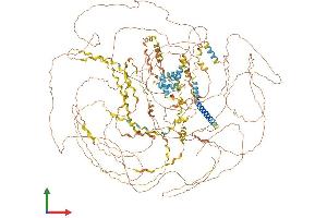 AlphaFold protein structure predicition of Human Recombinant COL17A1 Protein, UniprotID Q9UMD9