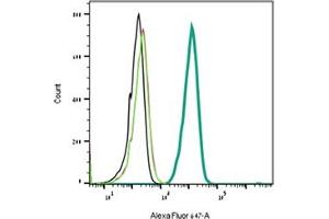 Indirect flow cytometry of ω-Conotoxin MVIIC in live intact rat  cells. (Conotoxin MVIIC omega peptide (Biotin))