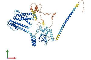 Protein Structure (PS) image for Cyclic Nucleotide Gated Channel alpha 2 (CNGA2) (AA 1-664) protein (His tag) (ABIN7553510)