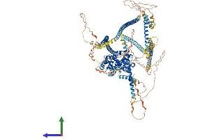Protein Structure (PS) image for Protein Tyrosine Phosphatase F Interacting Protein 1 (PPFIA1) (AA 1-1202) protein (His tag) (ABIN7554411)