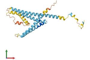 AlphaFold protein structure predicition of Mouse Recombinant Laptm5 Protein, UniprotID Q61168