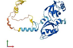 Protein Structure (PS) image for Syndecan Binding Protein (Syntenin) 2 (SDCBP2) (AA 1-292) protein (His tag) (ABIN7560329)