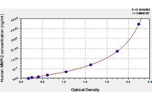 Matrix Metalloproteinase 2 (MMP2) ELISA Kit