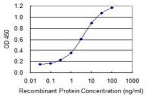 Detection limit for recombinant GST tagged CD3E is 0. (CD3 epsilon 抗体  (AA 23-207))