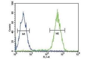 CD11b antibody flow cytometric analysis of Jurkat cells (right histogram) compared to a negative control cell (left histogram). (CD11b 抗体  (AA 253-282))