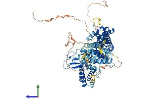 Protein Structure (PS) image for RAS Guanyl Releasing Protein 4 (RASGRP4) (AA 1-673) protein (His tag) (ABIN7558876)