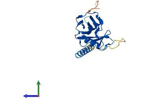 Protein Structure (PS) image for CD69 (CD69) (AA 1-199) protein (His tag) (ABIN7563198)
