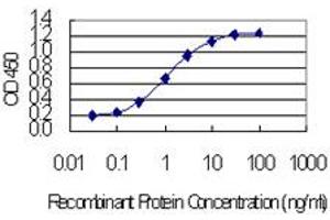 Detection limit for recombinant GST tagged CCDC12 is 0. (CCDC12 抗体  (AA 1-166))