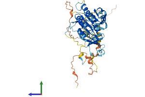 AlphaFold protein structure predicition of Human Recombinant ELP4 Protein, UniprotID Q96EB1