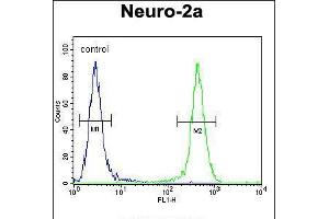 Flow cytometric analysis of Neuro-2a cells (right histogram) compared to a negative control cell (left histogram). (JOSD2 抗体  (N-Term))