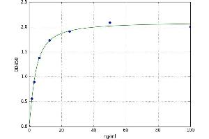 Growth Differentiation Factor 6 (GDF6) ELISA Kit