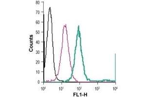 Cell surface detection of NK1R in live intact human THP-1 monocytic leukemia cells: (black line) Cells. (TACR1 抗体  (2nd Extracellular Loop) (FITC))