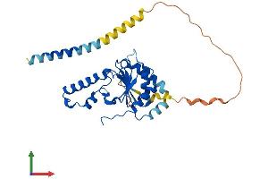 Protein Structure (PS) image for Nogo B Receptor (NUS1) (AA 1-297) protein (His tag) (ABIN7560376)
