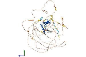 Protein Structure (PS) image for SRY (Sex Determining Region Y)-Box 30 (SOX30) (AA 1-753) protein (His tag) (ABIN7546112)
