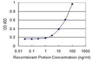 Detection limit for recombinant GST tagged CLP1 is 1 ng/ml as a capture antibody. (CLP1 抗体  (AA 316-425))