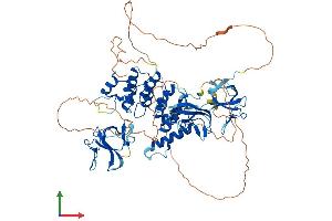 Protein Structure (PS) image for CAP-GLY Domain Containing Linker Protein Family, Member 4 (CLIP4) (AA 1-705) protein (His tag) (ABIN7546533)
