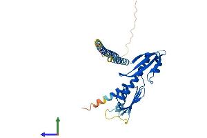 Protein Structure (PS) image for Centromere Protein O (CENPO) (AA 1-300) protein (His tag) (ABIN7553234)