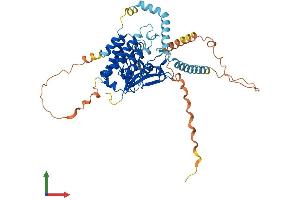 Protein Structure (PS) image for Patatin-Like phospholipase Domain Containing 2 (PNPLA2) (AA 1-486) protein (His tag) (ABIN7564371)