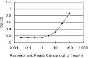 Detection limit for recombinant GST tagged CD300C is approximately 3ng/ml as a capture antibody. (CD300c 抗体  (AA 21-130))