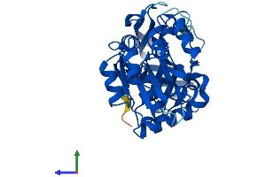 Protein Structure (PS) image for Prostaglandin Reductase 2 (PTGR2) (AA 1-351) protein (His tag) (ABIN7551044)