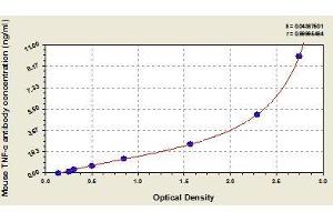 Typical standard curve (Anti-TNF-alpha Autoantibody ELISA 试剂盒)